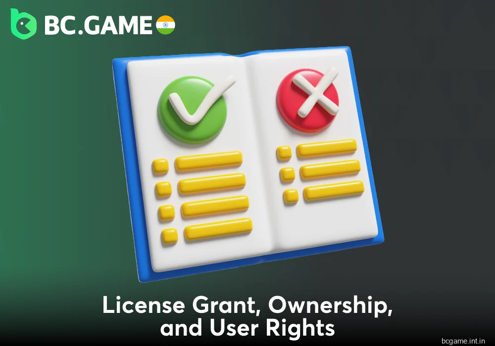 BC Game India Copyright